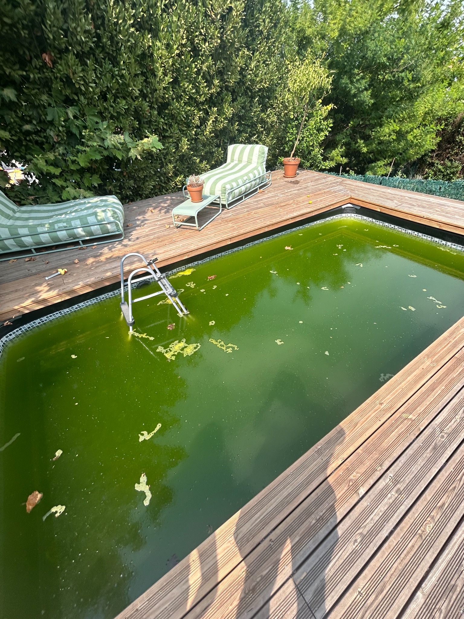 Piscine avant intervention PierreLH