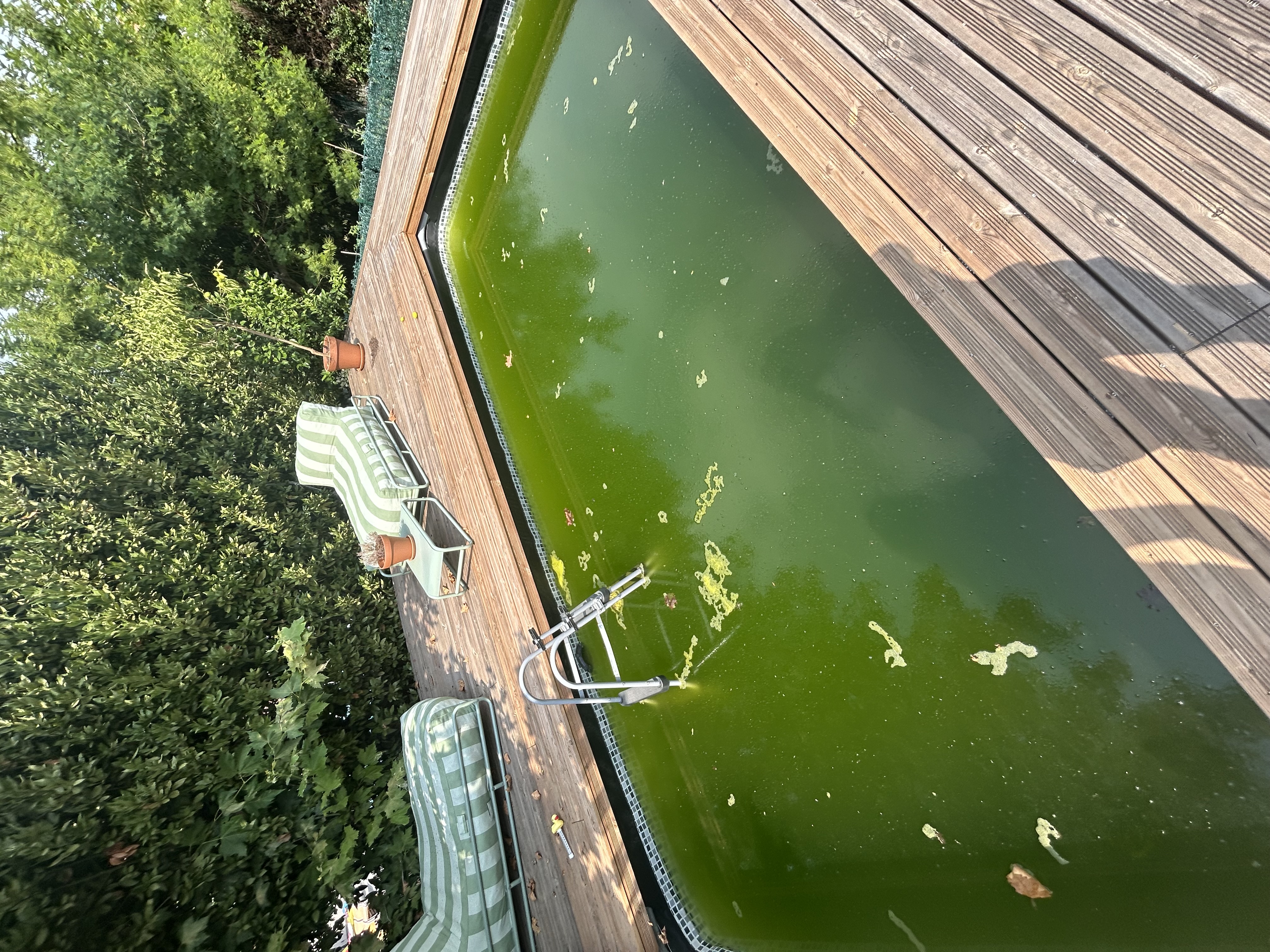 Algae-covered pool before treatment - Biarritz